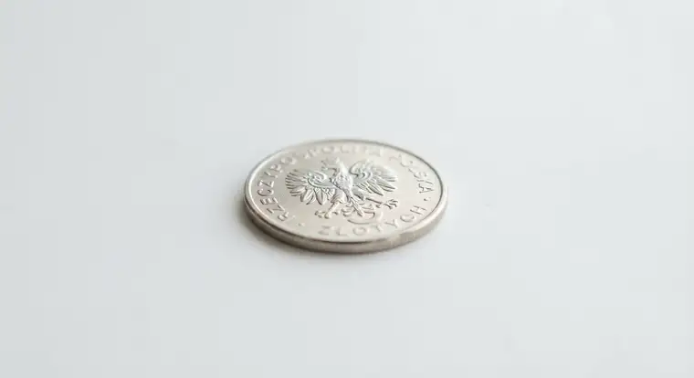 Widok panelu Google Ads z wykresem kosztów i średnich stawek za kliknięcie, który pomaga oszacować miesięczny koszt kampanii reklamowych w Google Ads